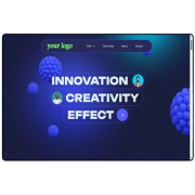 ecommerce website develop
